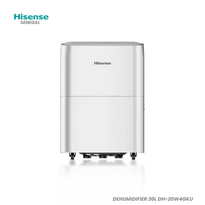 HISENSE DEHUMIDIFIER 20L DH-20W4GKU Hometech SA
