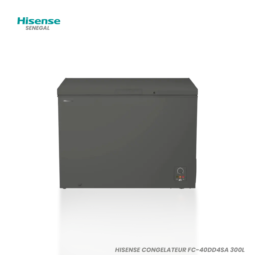 HISENSE CONGELATEUR FC-40DD4SA 300L Hometech SA