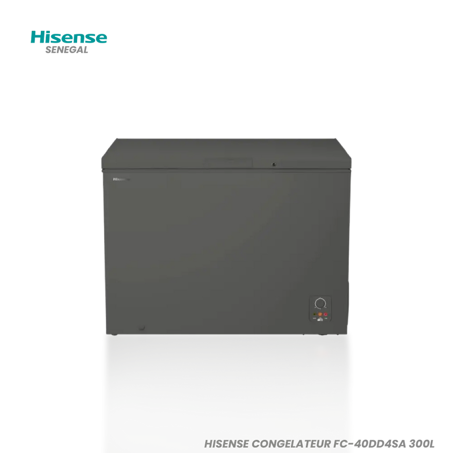 HISENSE CONGELATEUR FC-40DD4SA 300L Hometech SA