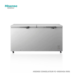 HISENSE CONGELATEUR FC-66DD4SA 500L Hometech SA