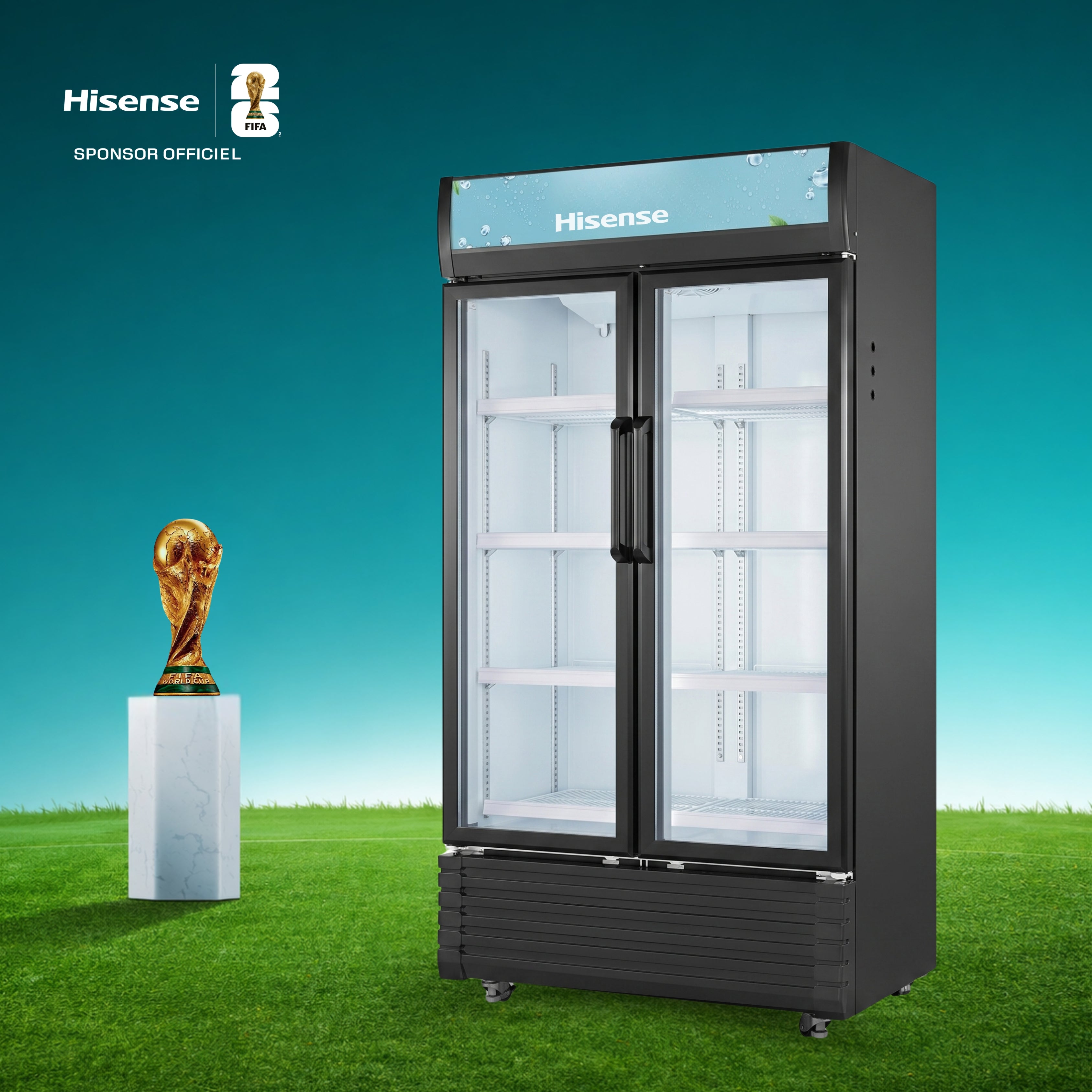 Hisense Fl-81 620L Noir 2 Portes