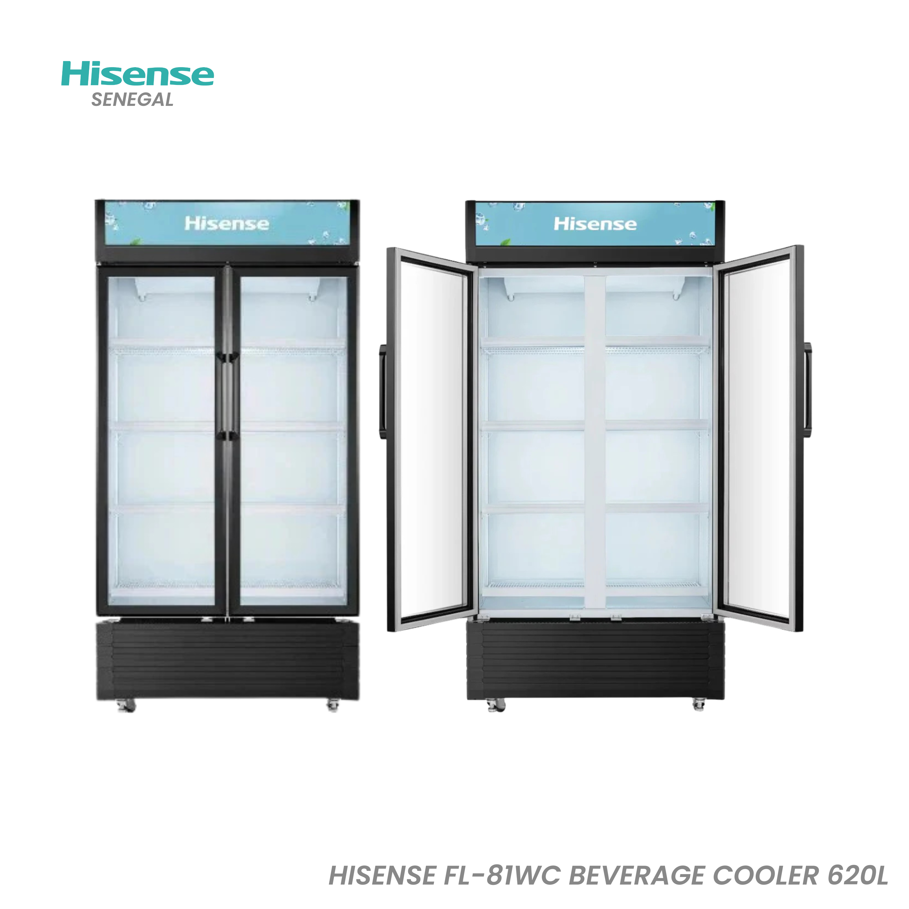 Hisense Fl-81 620L noir 2 portes