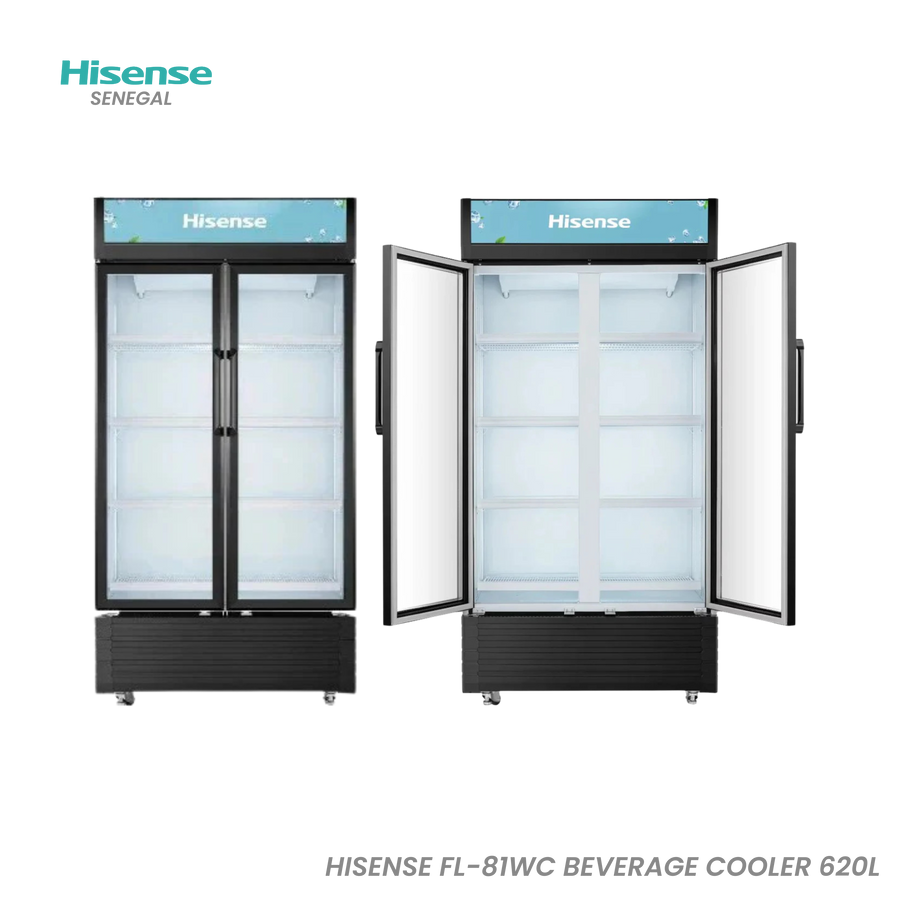 Hisense Fl-81 620L Noir 2 Portes