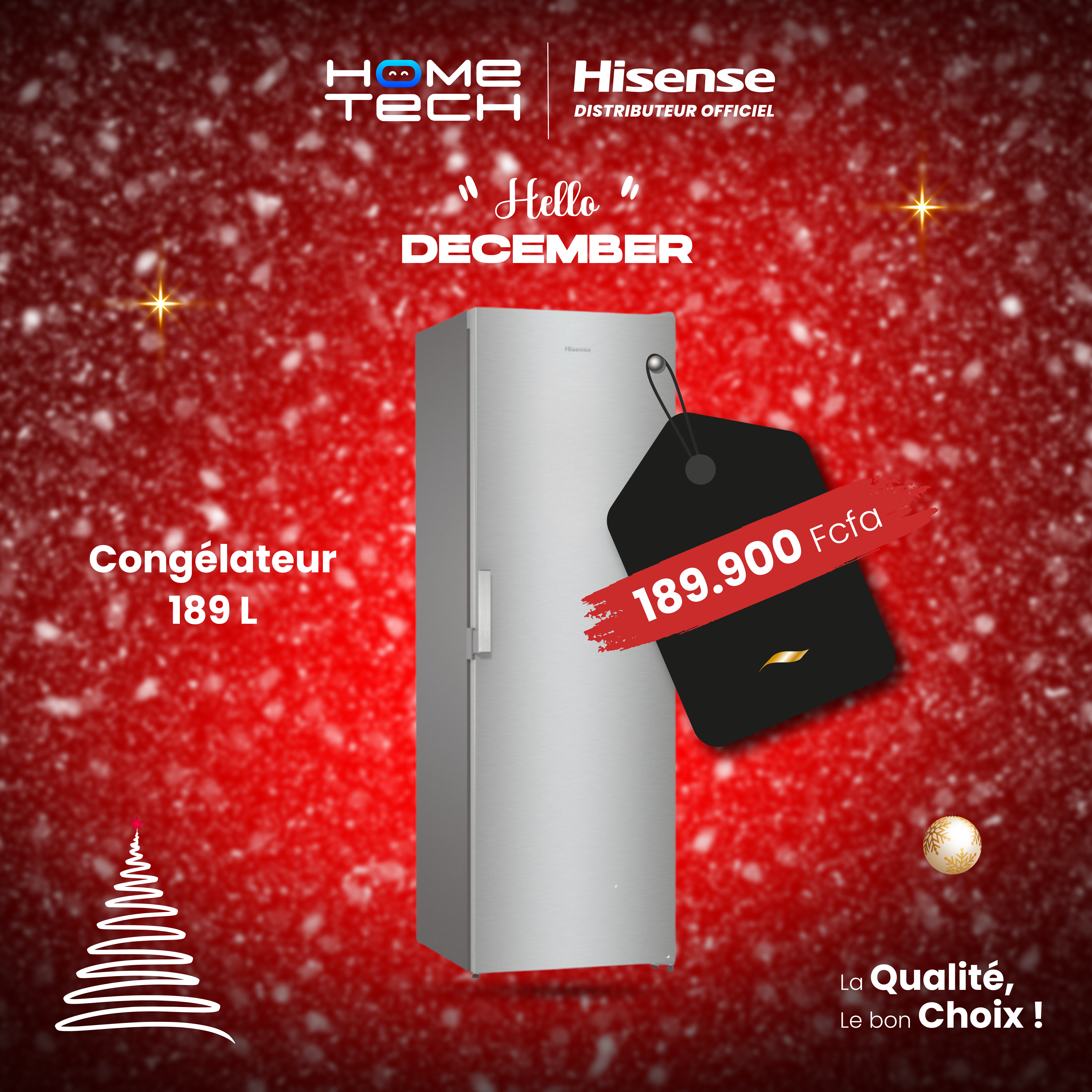 Hisense Congélateur Vertical RS24 189L