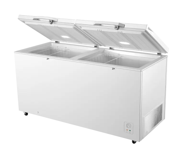 HISENSE CONGELATEUR FC-66DD4SA 500L Hometech SA
