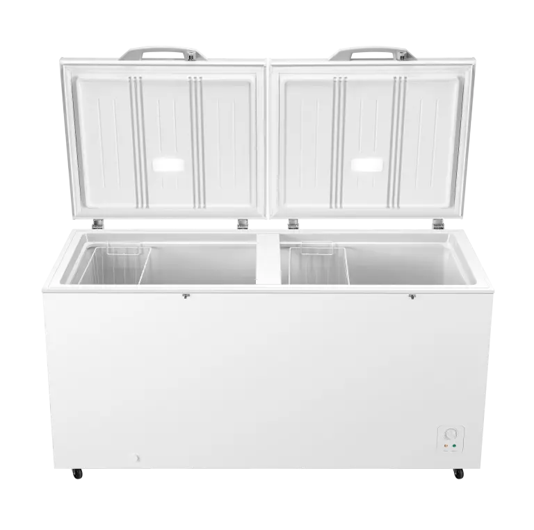 HISENSE CONGELATEUR FC-66DD4SA 500L Hometech SA