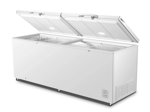 HISENSE CONGELATEUR FC-94DD4HA 700L Hometech SA