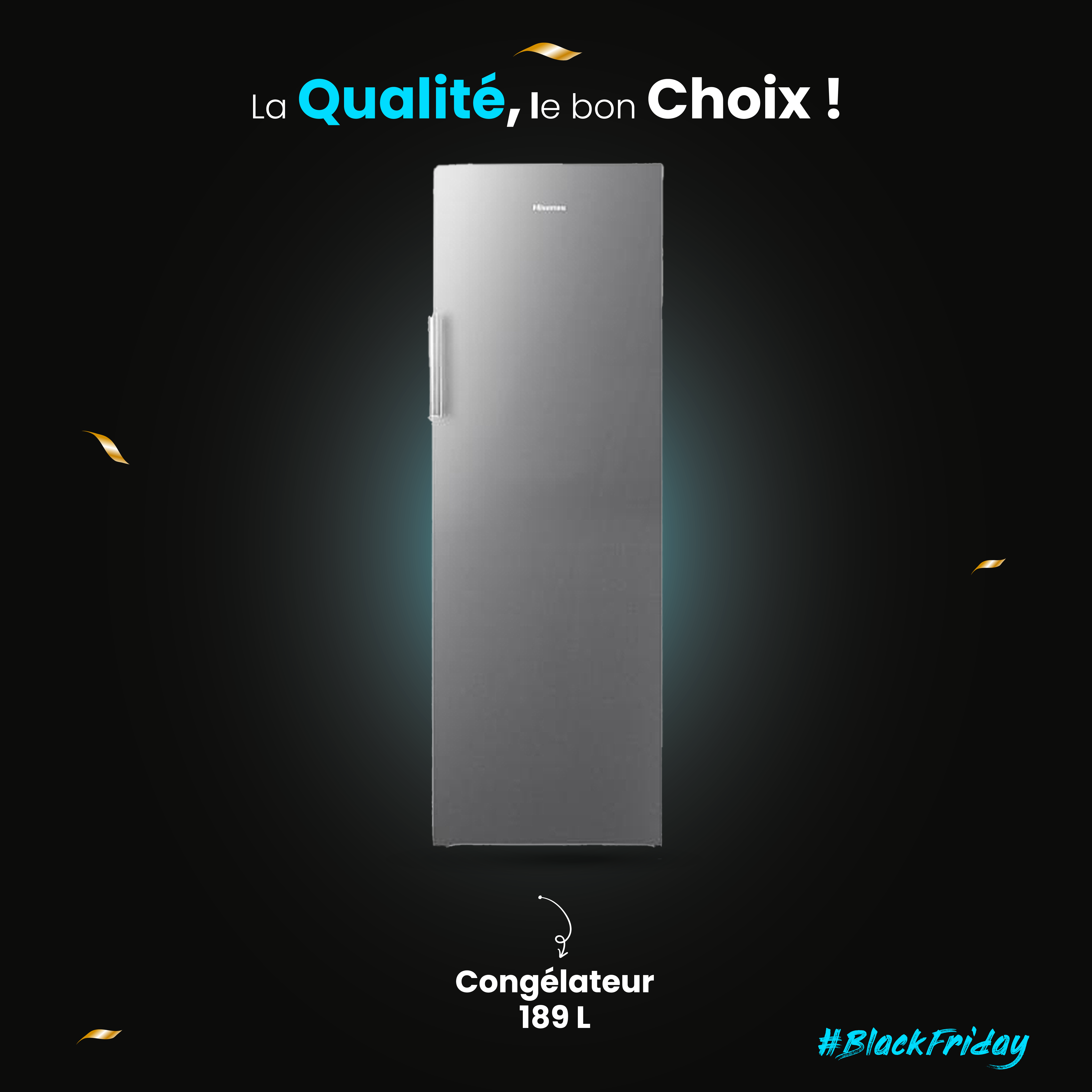Hisense Congélateur Vertical RS24 189L
