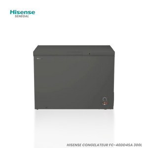 HISENSE CONGELATEUR FC-40DD4SA 300L Hometech SA