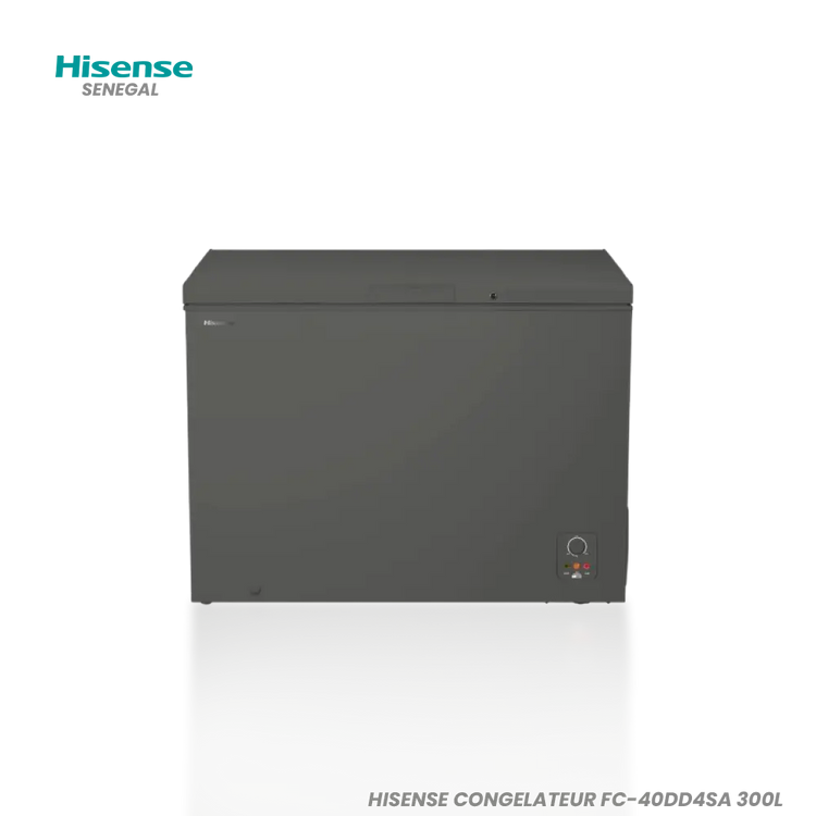 HISENSE CONGELATEUR FC-40DD4SA 300L Hometech SA