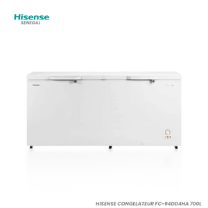 HISENSE CONGELATEUR FC-94DD4HA 700L Hometech SA