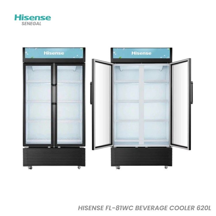 Hisense Fl-81 620L Noir 2 Portes