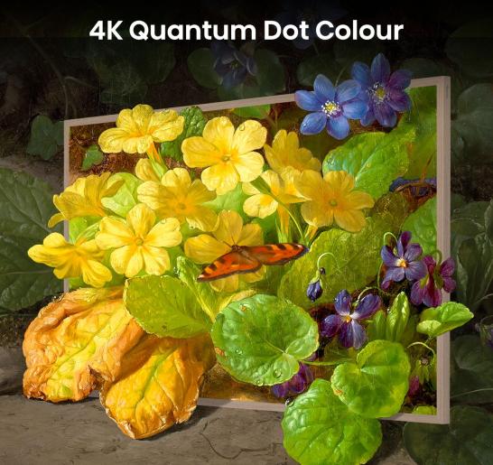 Hisense Led 65S7N Qled Canvastv 4K Smart